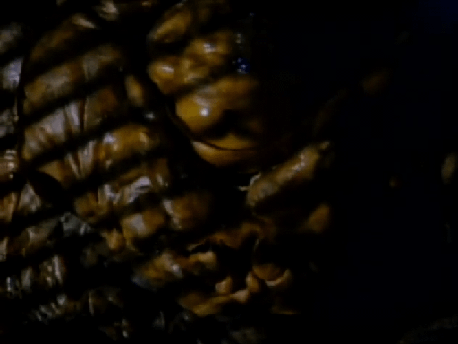 alienporno