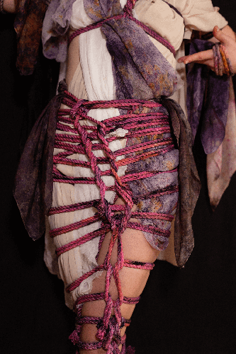 DecorativeShibari