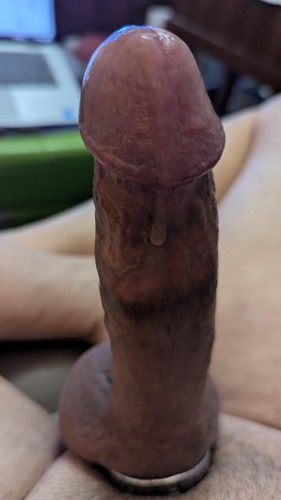 DrippingPrecum