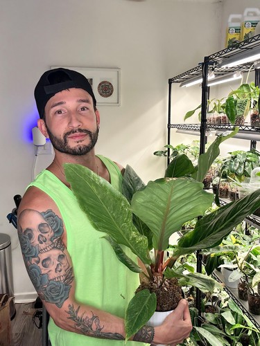 hotmenwithplants