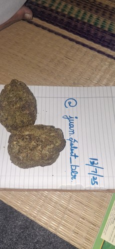 Juanselectblr_