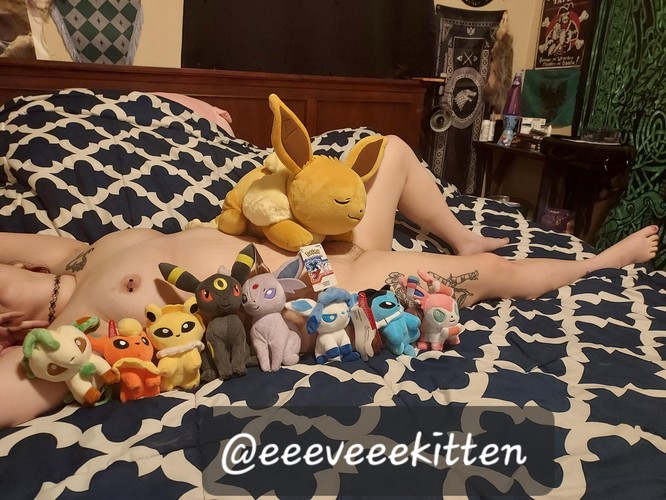 PokemonPlushLove
