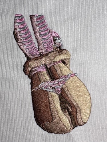 pornembroidery