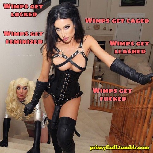 prissyfluff