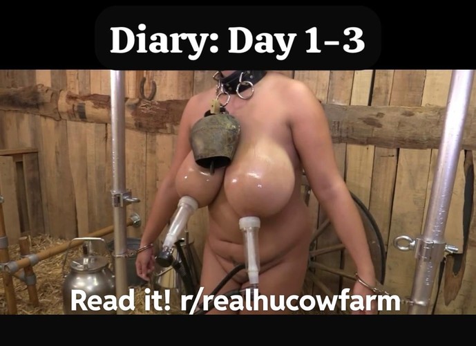 realHuCowFarm