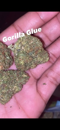 thcasmallbudzreviews