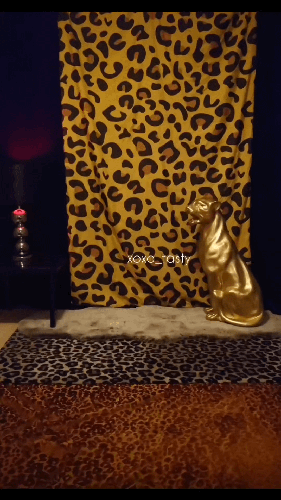 twerkingcom