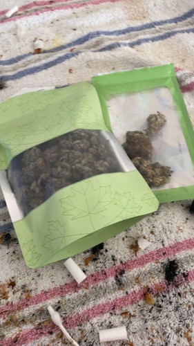 UrbnBud