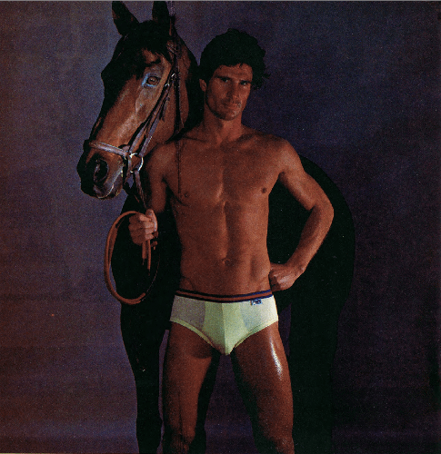 VintageGayPornPics